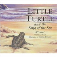 Little Turtle and the Song of the Sea