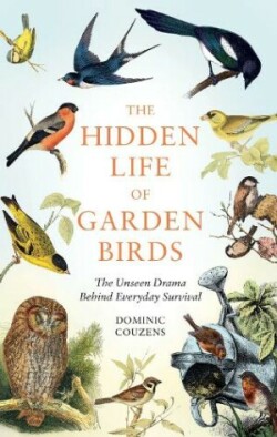 Hidden Life of Garden Birds