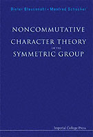 Noncommutative Character Theory Of The Symmetric Group