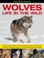 Exploring Nature: Wolves - Life in the Wild