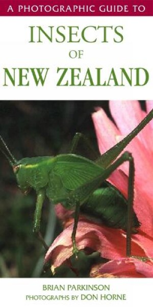 Photographic Guide To Insects Of New Zealand