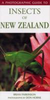 Photographic Guide To Insects Of New Zealand