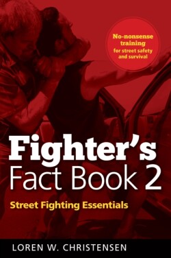 Fighter's Fact Book 2