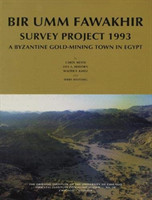 Bir Umm Fawakhir Survey Project 1993