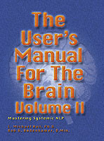 User's Manual for the Brain Volume II