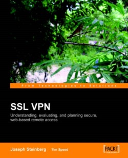 SSL VPN : Understanding, evaluating and planning secure, web-based remote access