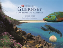 Sealife in Guernsey, Herm, Sark and Alderney