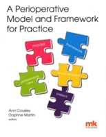 Perioperative Model and Framework for Practice