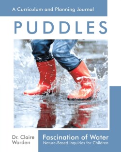 Fascination of Water: Puddles