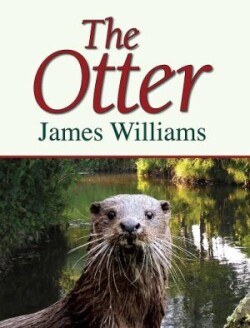 Otter