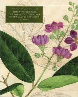 Robert Wight and the Botanical Drawings of Rungiah and Govindoo ( 3 volumes)