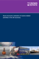 Socio-economic Indicators of Marine-related Activities in the UK Economy