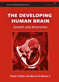Developing Human Brain