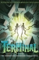 Terminal