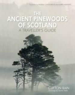 Ancient Pinewoods of Scotland