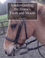 Understanding the Horse's Teeth and Mouth