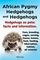 African Pygmy Hedgehogs and Hedgehogs. Hedgehogs as Pets