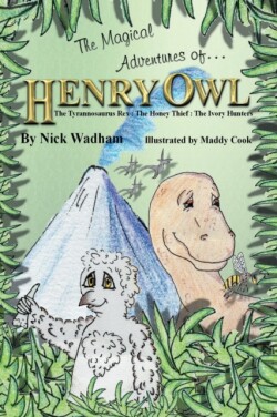 Magical Adventures of Henry Owl