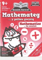 Help gyda Gwaith Cartref - Mathemateg, Y Pethau Pwysig