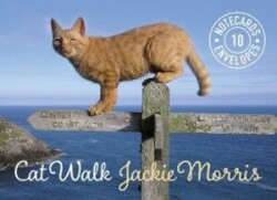 Cat Walk Notecards