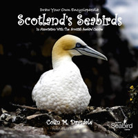 Draw Your Own Encyclopaedia Scotland's Seabirds