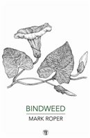 Bindweed