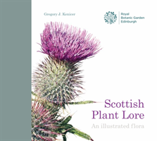 Scottish plant lore