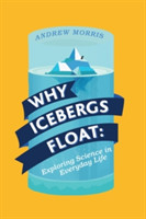 Why Icebergs Float