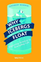 Why Icebergs Float