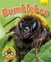 Wildlife Watchers: Bumblebee