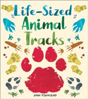 Life-Sized Animal Tracks