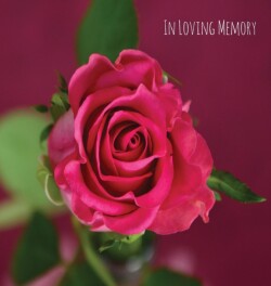 In Loving Memory Funeral Guest Book, Celebration of Life, Wake, Loss, Memorial Service, Funeral Home, Church, Condolence Book, Thoughts and In Memory Guest Book (Hardback)