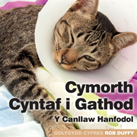 Cymorth Cyntaf i Gathod Y Canllaw Hanfodol