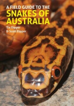 Field Guide to the Snakes of Australia