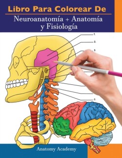 Libro para colorear de Neuroanatomía + Anatomía y Fisiología