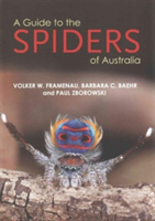 Guide to Spiders of Australia
