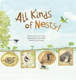 All Kinds of Nests