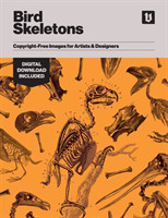 Bird Skeletons