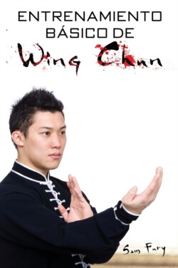 Entrenamiento B�sico de Wing Chun