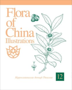 Flora of China Illustrations, Volume 12 - Hippocastanaceae through Theaceae