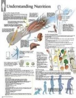 Understanding Nutrition Laminated Poster