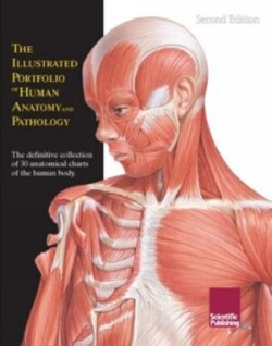 Illustrated Portfolio of Human Anatomy & Pathology, 2nd Edition