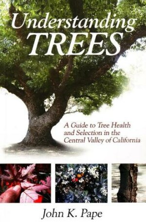 Understanding Trees