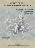 Sawfishes, Guitarfishes, Skates and Rays, Chimaeroids
