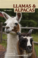 Llamas and Alpacas