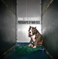 Animal Shelter Portraits