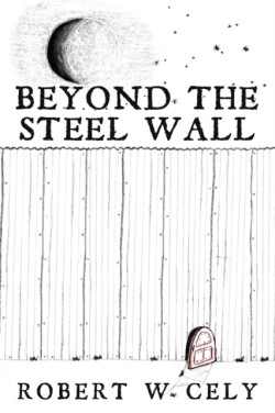 Beyond the Steel Wall