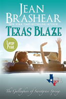 Texas Blaze (Large Print Edition)