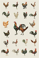 Chicken Paradise Field Journal Notebook, 50 pages/25 sheets, 4x6