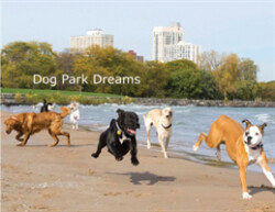 Dog Park Dreams